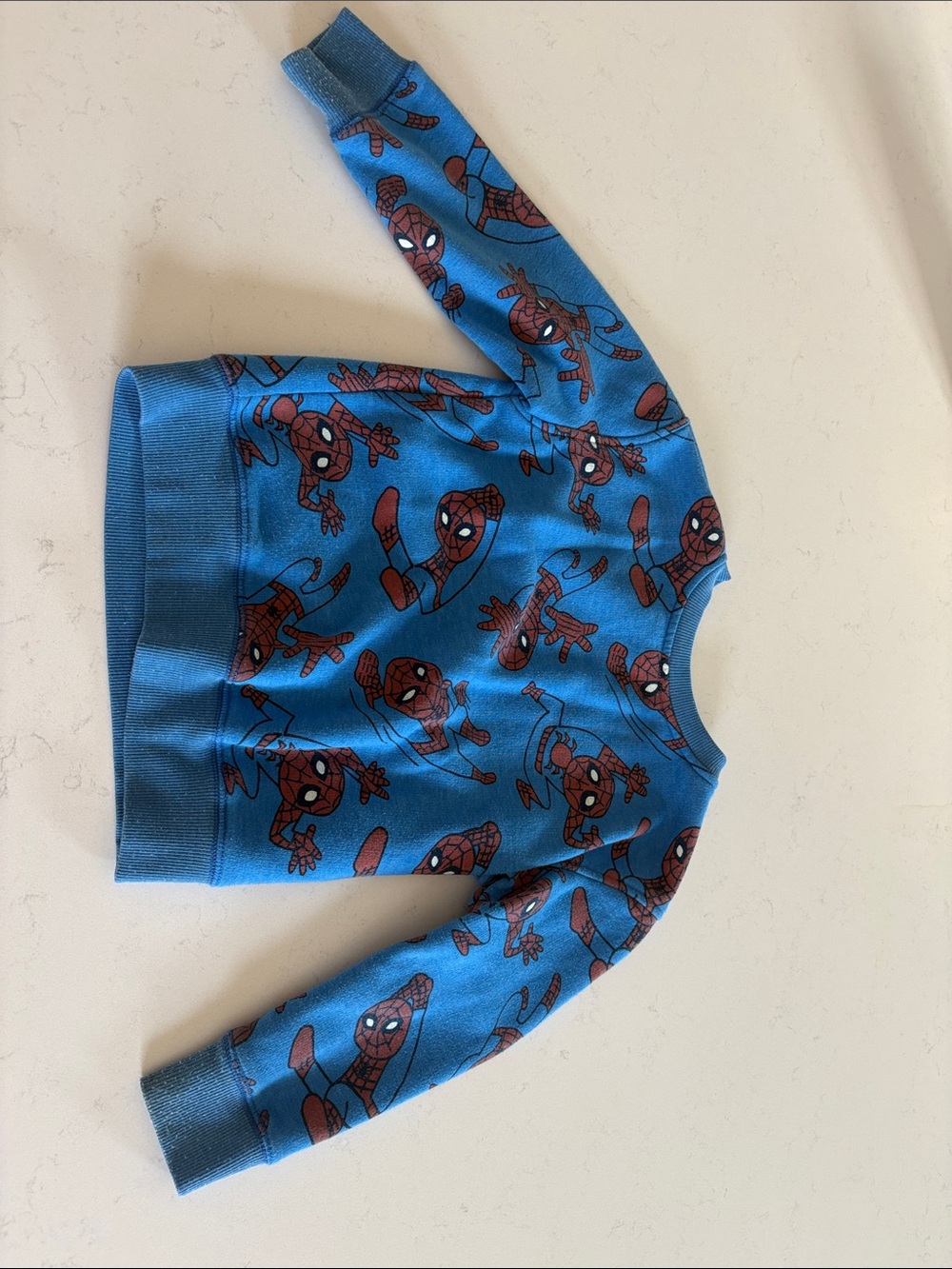Kids Blue Spider Graphic Pullover Sweatshirt